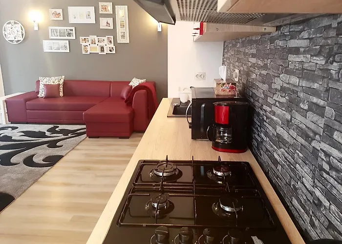 Apartment Fundeni *