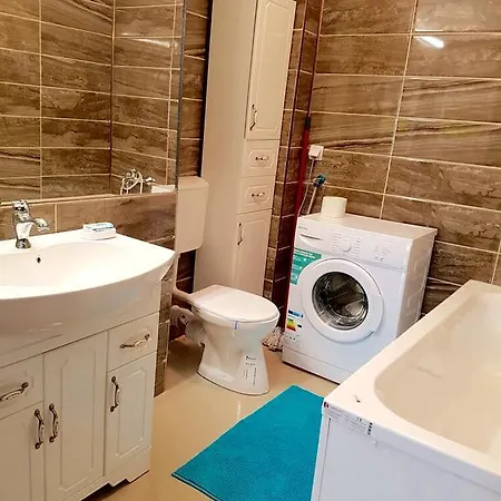 Apartment Fundeni *