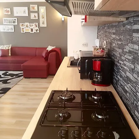 Apartamento Fundeni *